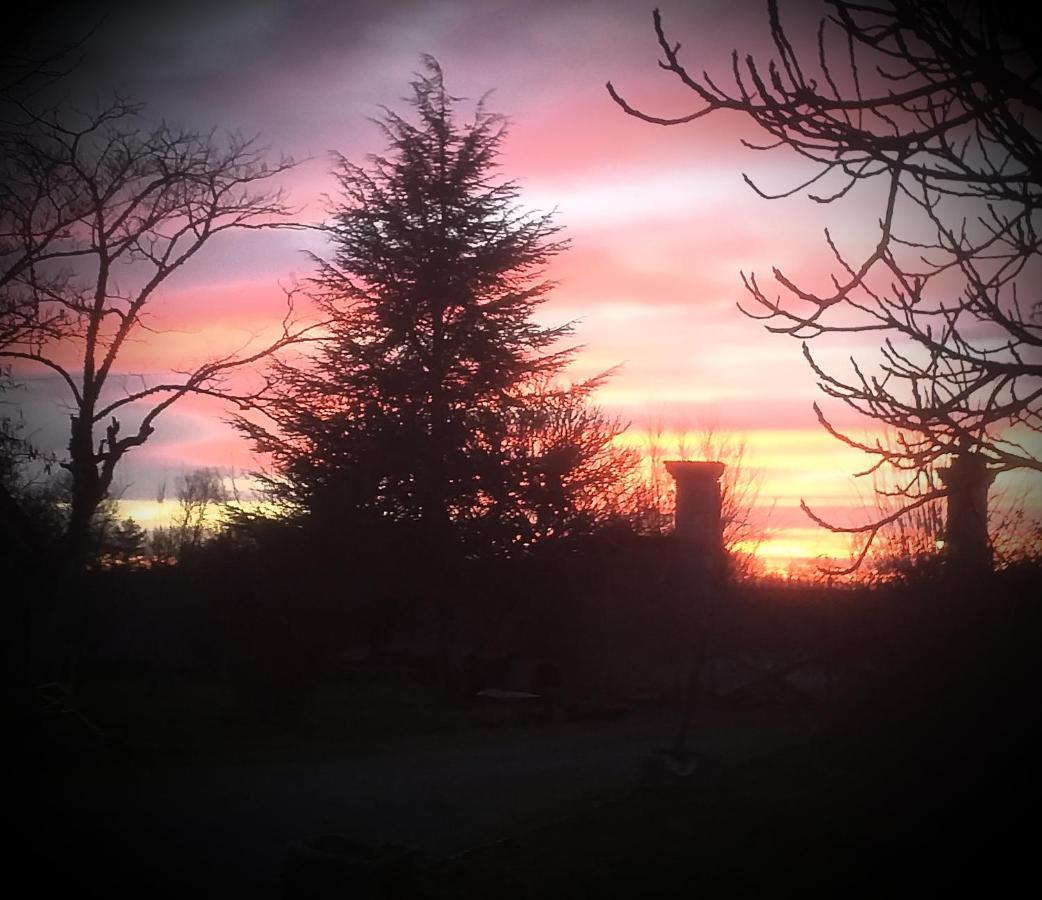 Gites Les Lignons Champniers  Exterior foto